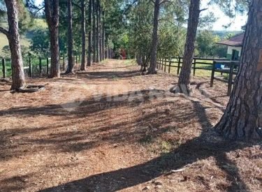 WhatsApp Image 2025-09-14 at 09.12.33