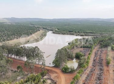 WhatsApp Image 2025-09-15 at 16.18.28 (2)