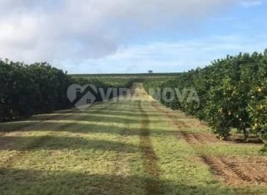 WhatsApp Image 2025-09-16 at 16.41.27