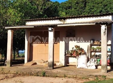 WhatsApp Image 2025-09-19 at 15.35.03 (3)