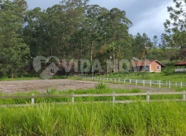 WhatsApp Image 2025-09-27 at 11.11.59