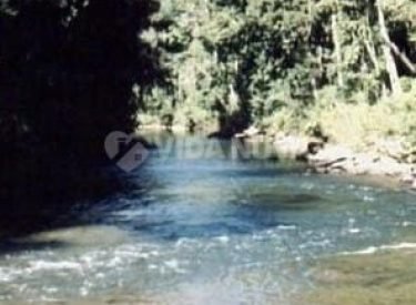 WhatsApp Image 2025-10-03 at 10.27.17 (1)