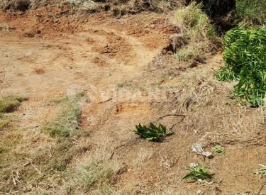 WhatsApp Image 2025-10-05 at 05.13.09 (1)