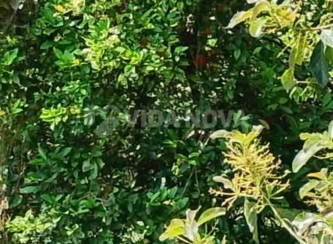 WhatsApp Image 2025-10-05 at 05.13.11 (3)