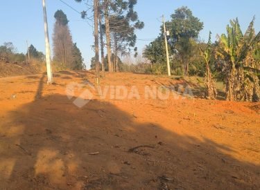 WhatsApp Image 2025-10-12 at 11.41.01 (2)