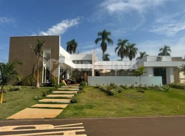 WhatsApp Image 2025-10-17 at 11.14.53 (1)