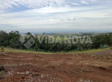 WhatsApp Image 2025-10-17 at 11.48.19