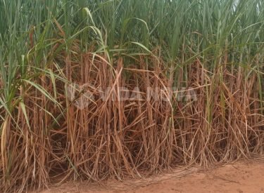 WhatsApp Image 2025-11-04 at 18.38.04