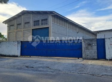 WhatsApp Image 2025-11-10 at 12.27.26 (1)