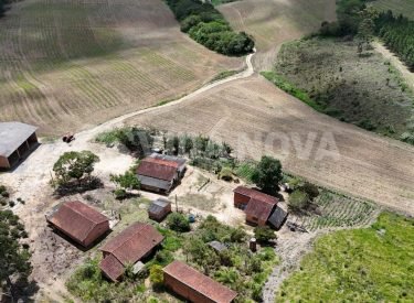 WhatsApp Image 2025-11-13 at 16.49.32