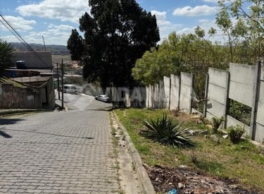 WhatsApp Image 2025-12-17 at 08.26.49