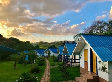 WhatsApp Image 2025-12-25 at 07.20.56