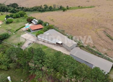 WhatsApp Image 2026-01-15 at 05.59.01