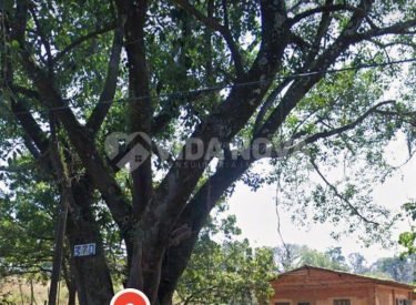 WhatsApp Image 2026-02-23 at 14.32.04