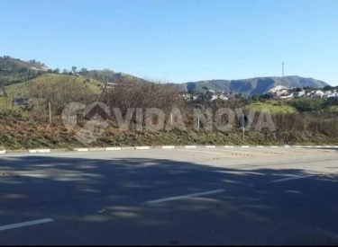 WhatsApp Image 2026-02-23 at 17.52.57 (1)