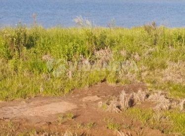 WhatsApp Image 2026-03-10 at 12.55.43 (1)