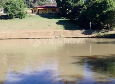 WhatsApp Image 2026-03-13 at 11.21.49