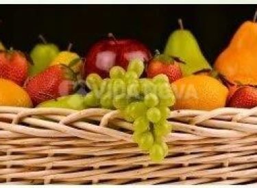 WhatsApp Image 2026-04-02 at 14.29.24