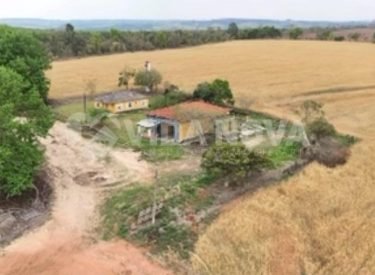 WhatsApp Image 2026-04-08 at 18.05.59