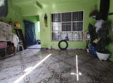 b251f96d-c305-4472-a4d3-be15561f6582