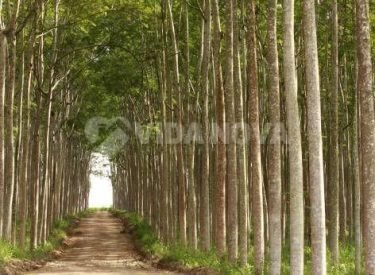 c95b2fb681da99c1ffec642f2e920f8e