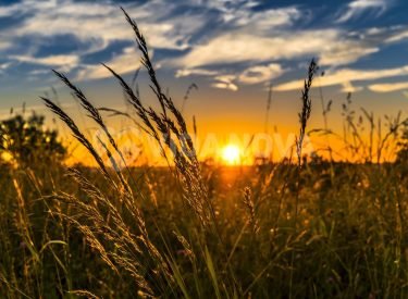 d745914444bc06f296eb2c1d3b865f47