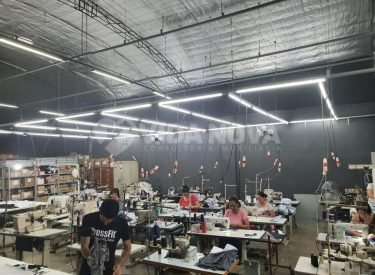 ea6e33d6-2ece-4ab9-8285-9a5469dca5cb