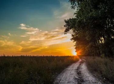 por-do-sol-da-paisagem-sobre-o-campo-60351213