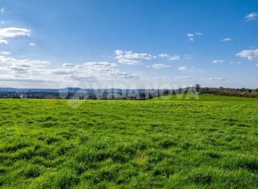 A vast green valley with a blue sky during daytime